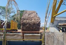 Pertamina Siapkan Infrastruktur untuk Kembangkan Bioetanol
